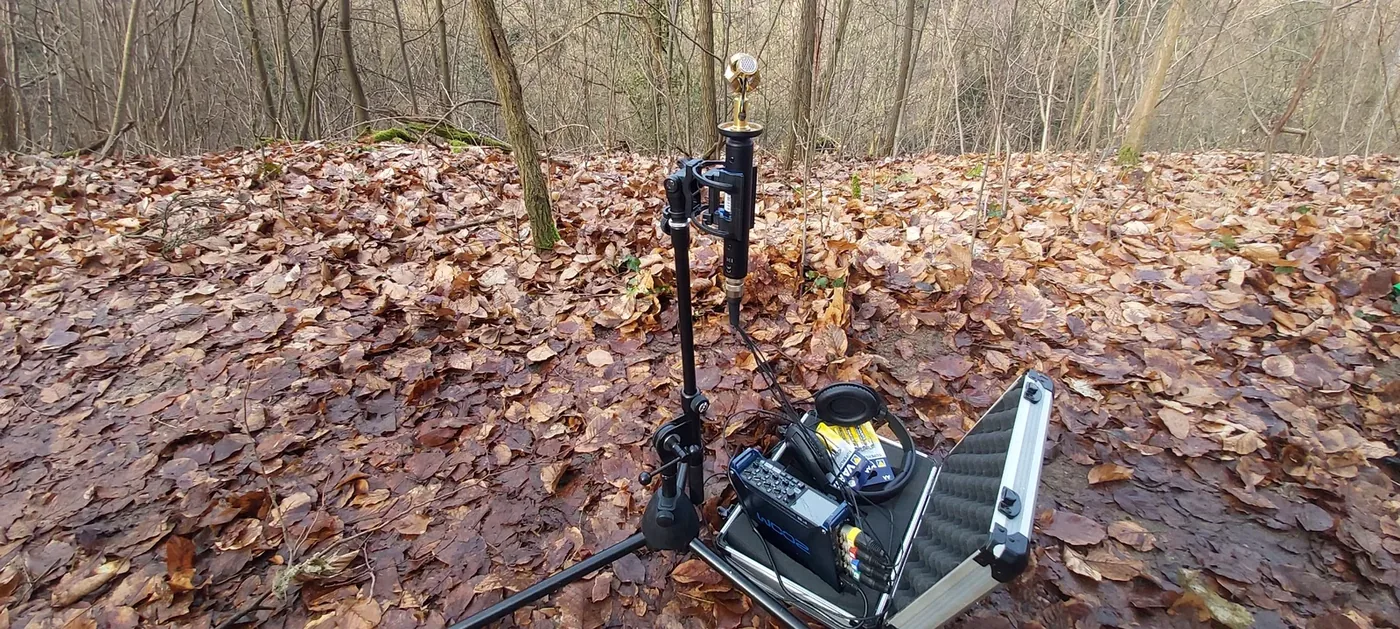 Ambisonic field recording for Flüsterwald